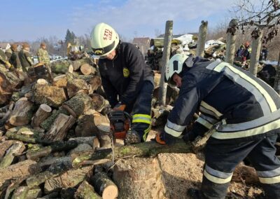 segítettünk - fát vágtunk