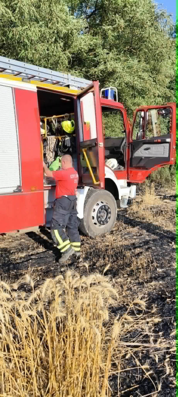 részvétel káreset felszámolásában