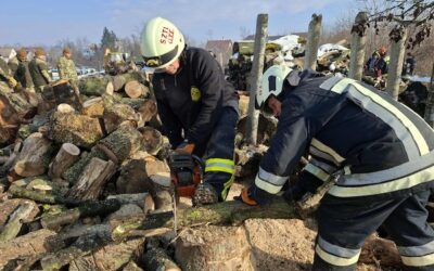 Segítettünk – fát vágtunk!