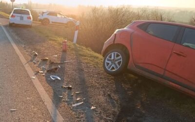 Önkéntesség és szakszerűség.